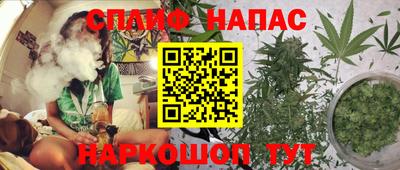 spice Аргун
