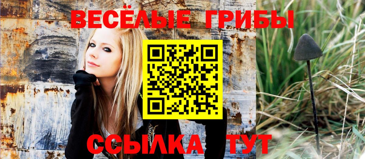 Галлюциногенные грибы Psilocybine cubensis  Галлюциногенные грибы мицелий  закладка  Вход с VPN  Кызыл 