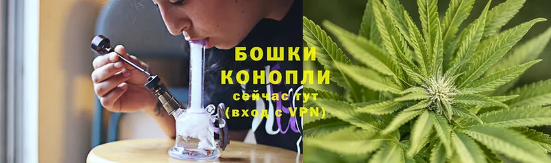 Шишки марихуана конопля  Кызыл 